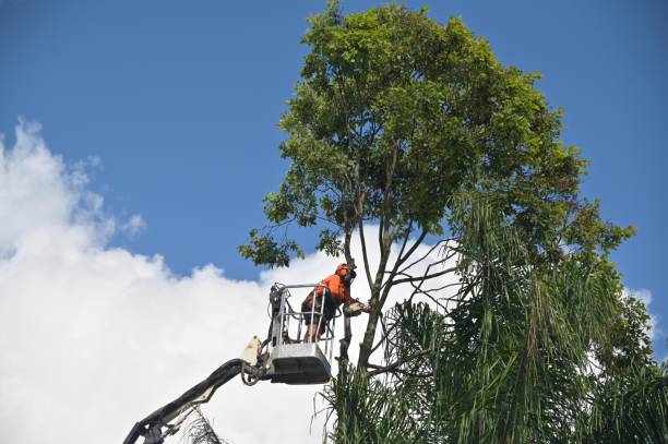 Mulching Services in New Berlinville, PA